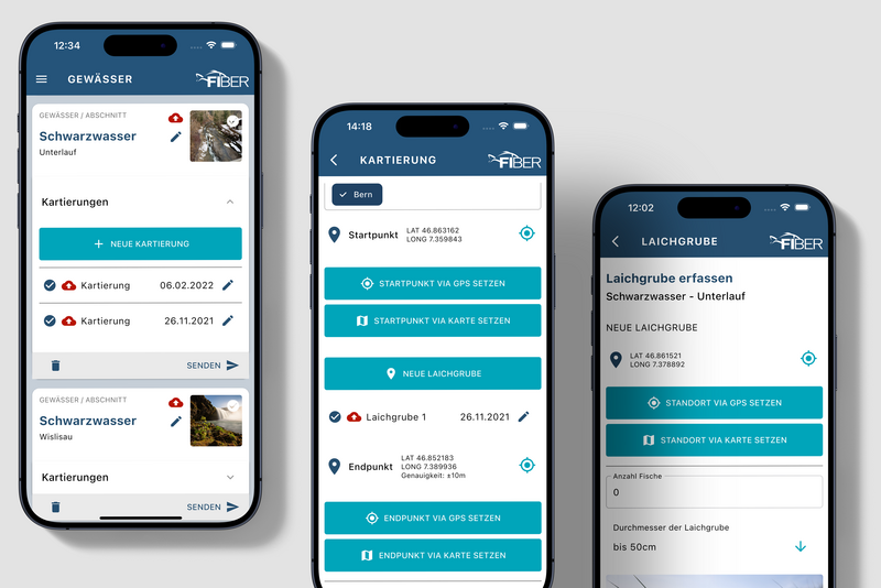 Zeigt drei iOS Mockups verschiedener Zustände der FIBER Laichzeit App