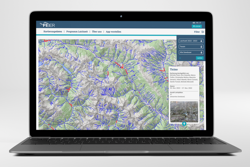 Zeigt die Fiber Laichzeit Website in einem Laptop Mockkup